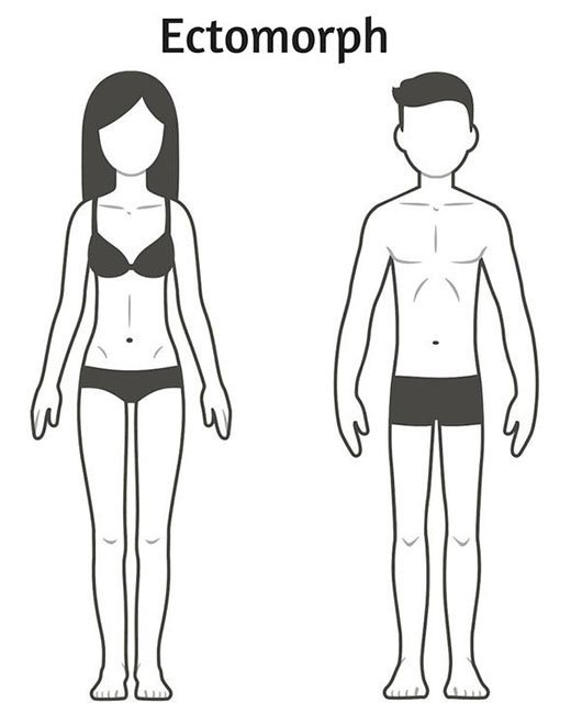 Os 3 tipos de corpos, explicados três tipos de corpo explicaram