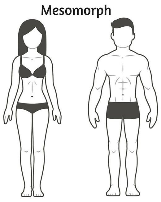 Os 3 tipos de corpos, explicados três tipos de corpo explicaram