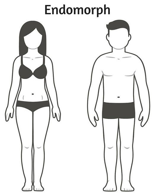 Os 3 tipos de corpos, explicados três tipos de corpo explicaram